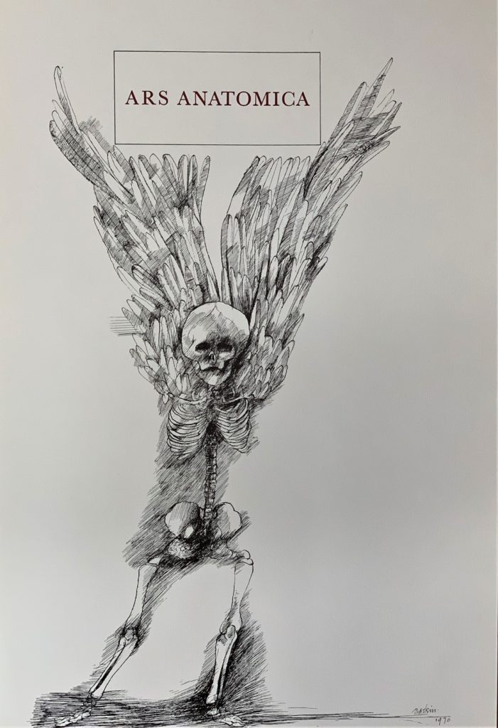 Ars Anatomica Portfolio Plate I