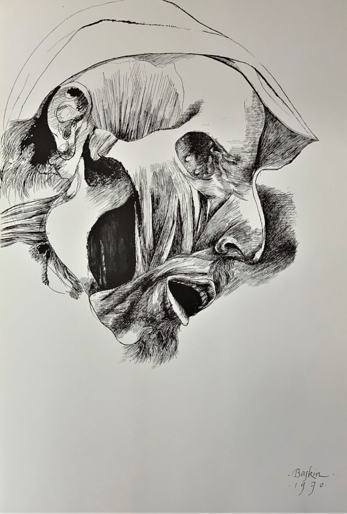 Ars Anatomica Portfolio Plate II