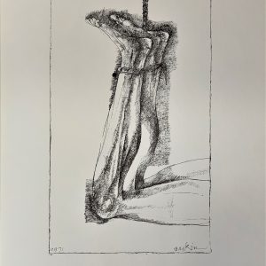 Ars Anatomica Portfolio Plate III