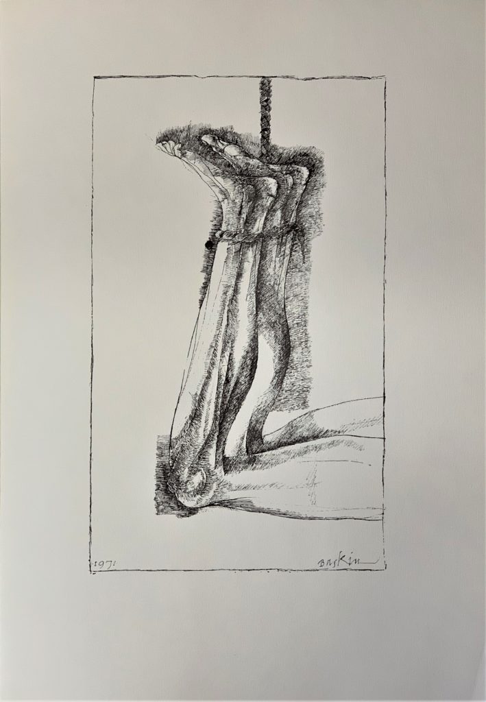 Ars Anatomica Portfolio Plate III