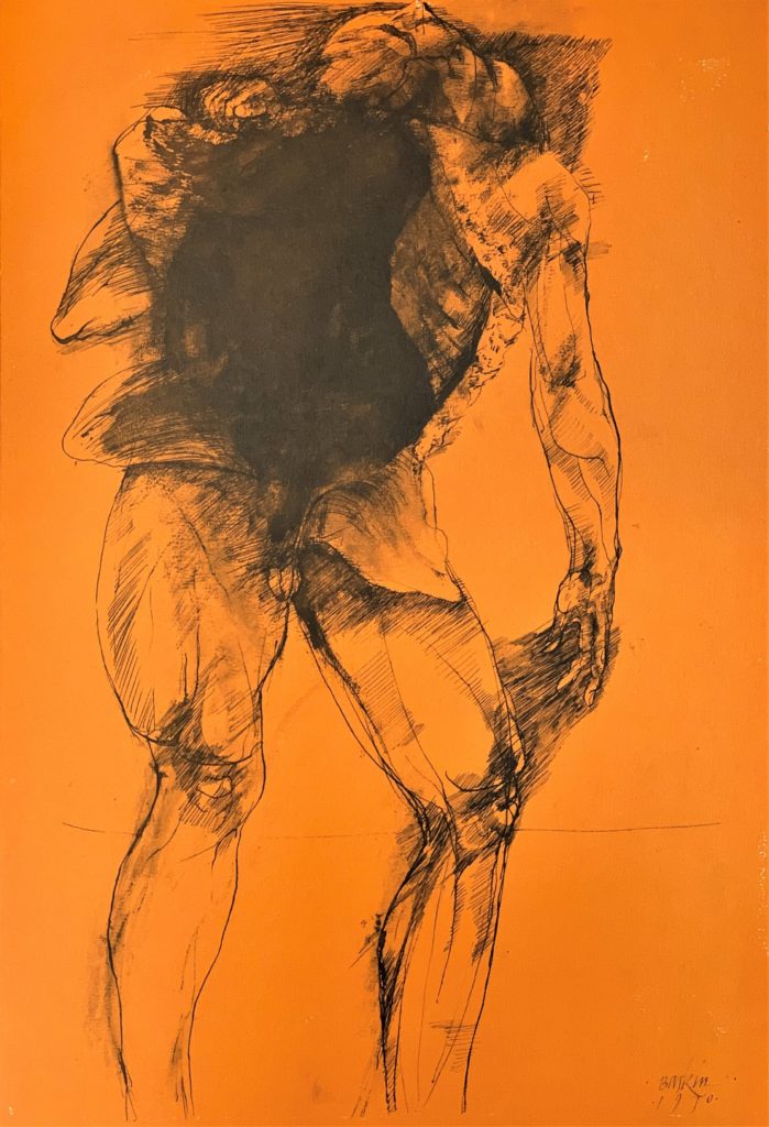 Ars Anatomica Portfolio Plate IV