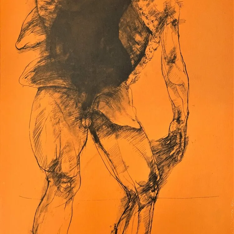Ars Anatomica Portfolio Plate IV