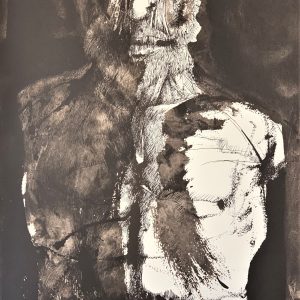 Ars Anatomica Portfolio Plate VI