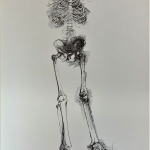 Ars Anatomica Portfolio Plate IX