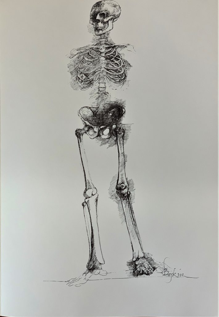 Ars Anatomica Portfolio Plate IX