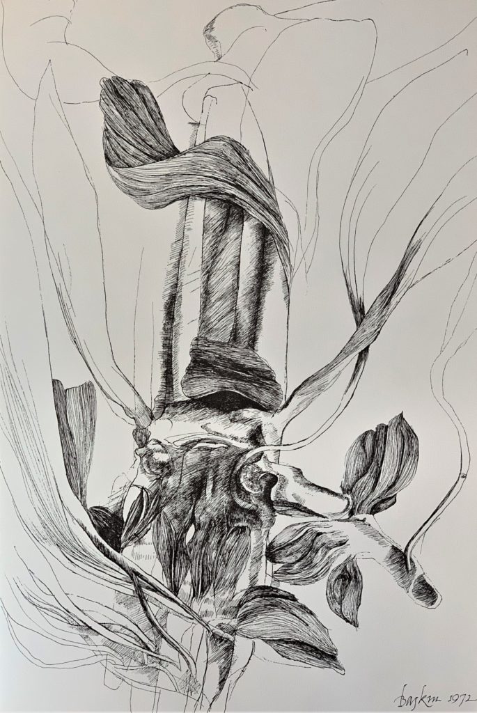 Ars Anatomica Portfolio Plate X