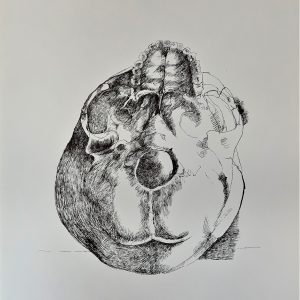 Ars Anatomica Portfolio Plate XI