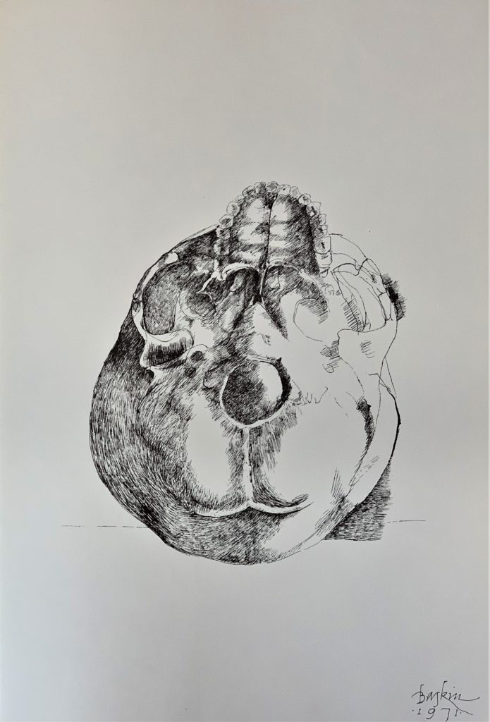 Ars Anatomica Portfolio Plate XI