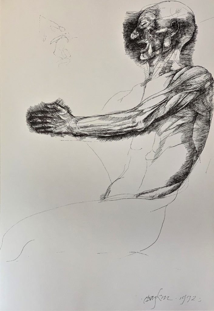 Ars Anatomica Portfolio Plate XII