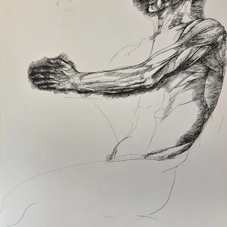 Ars Anatomica Portfolio Plate XII