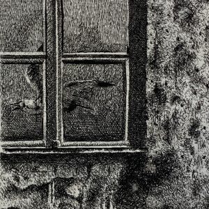 Untitled Window