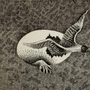 Untitled Hatched Egg