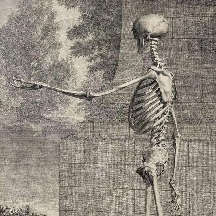 A Skeleton, Side View, Walking Left with Left Arm Extended