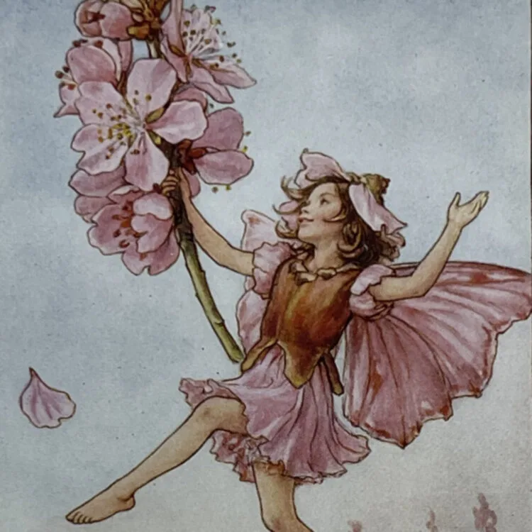 Almond Tree Fairy
