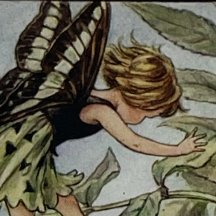 Ash Tree Fairy