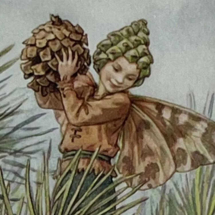Pine Tree Fairy