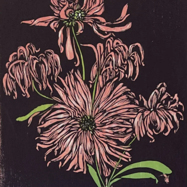 Asters