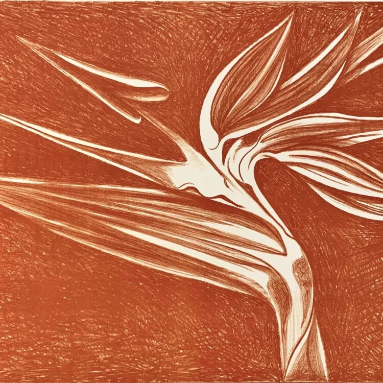 Bird of Paradise