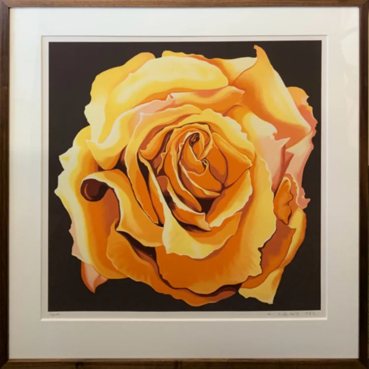 Yellow Rose