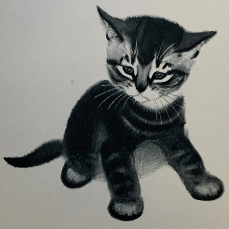 April's Kittens