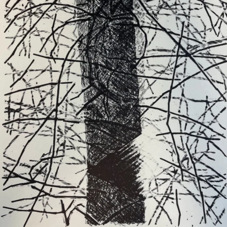 A Pine Cut Down II