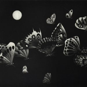 13 Butterflies in a Black Manner [Manière Noire aux 13 Papillons]