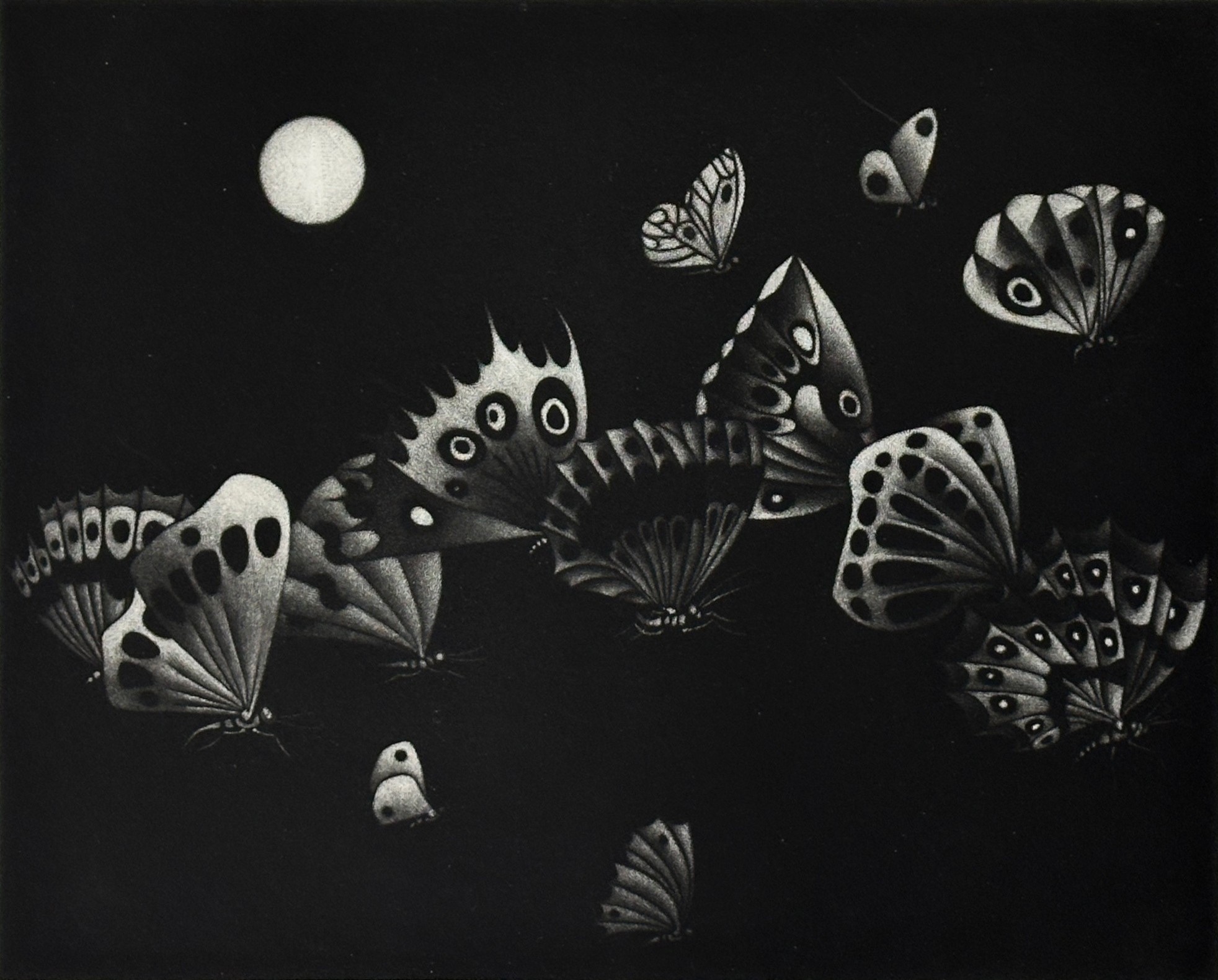 13 Butterflies in a Black Manner [Manière Noire aux 13 Papillons]