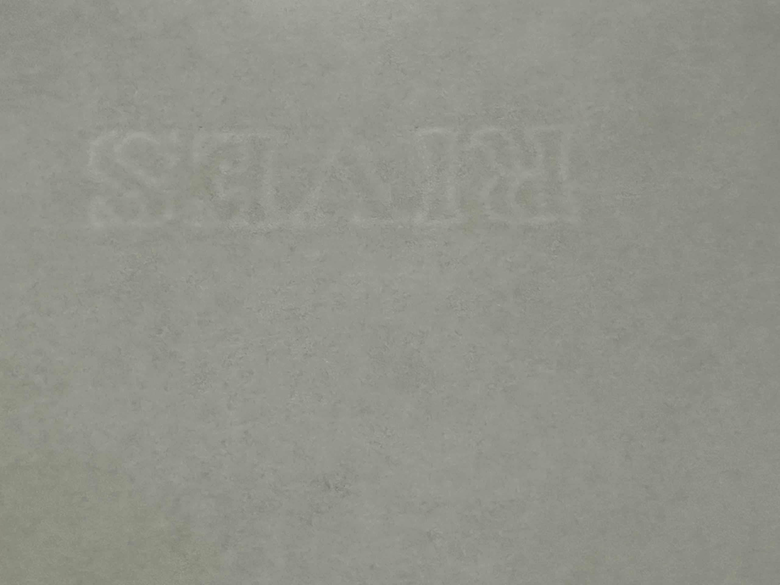 13 Butterflies in a Black Manner [Manière Noire aux 13 Papillons] - Image 10