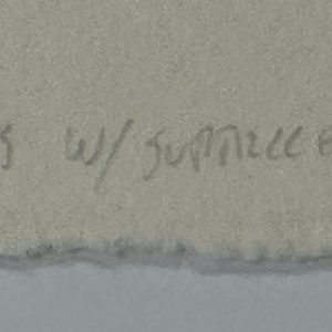 Conversation with Supplicant