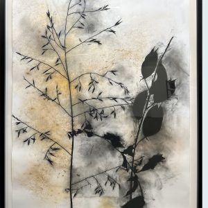 Nogal Canyon, Astralagus No. 1