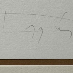 Scattered Space (Kiszakitott Ter)