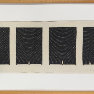 Untitled (Thought Plane Assembly)